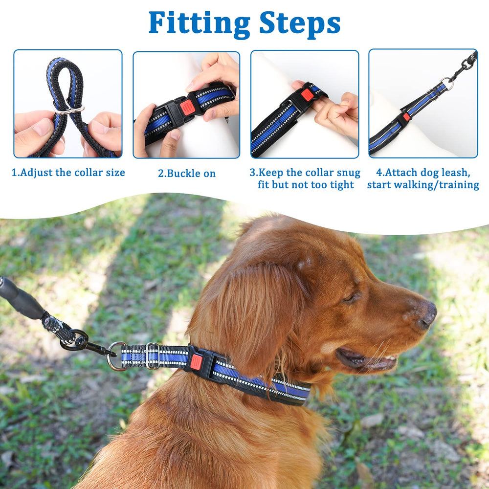 Night-time walking with Mayerzon collar thanks to the reflective strip and visibility.