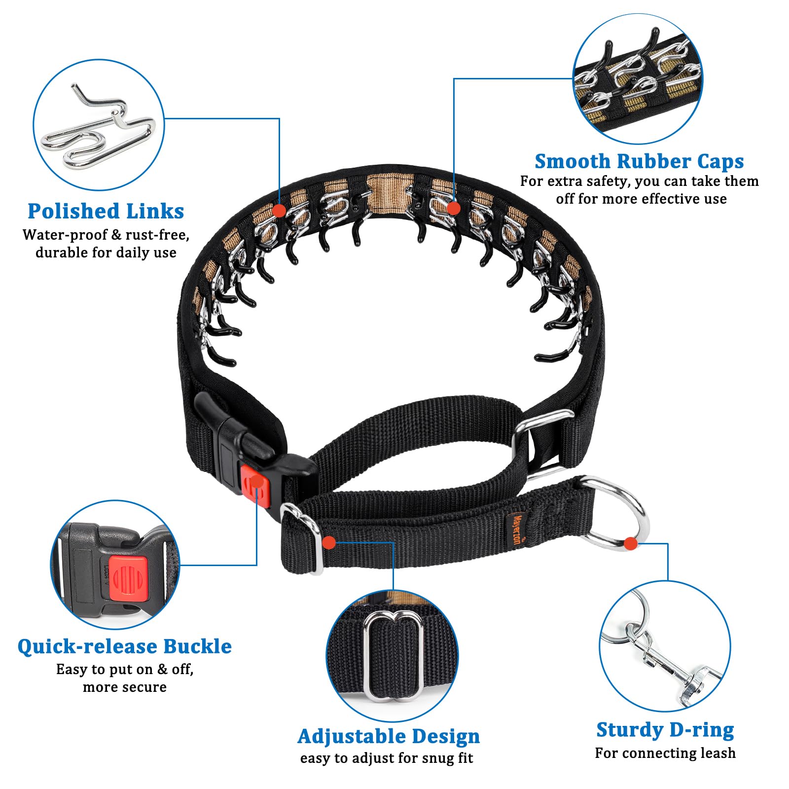 Mayerzon martingale collar buckle closeup; secure leash control during training.