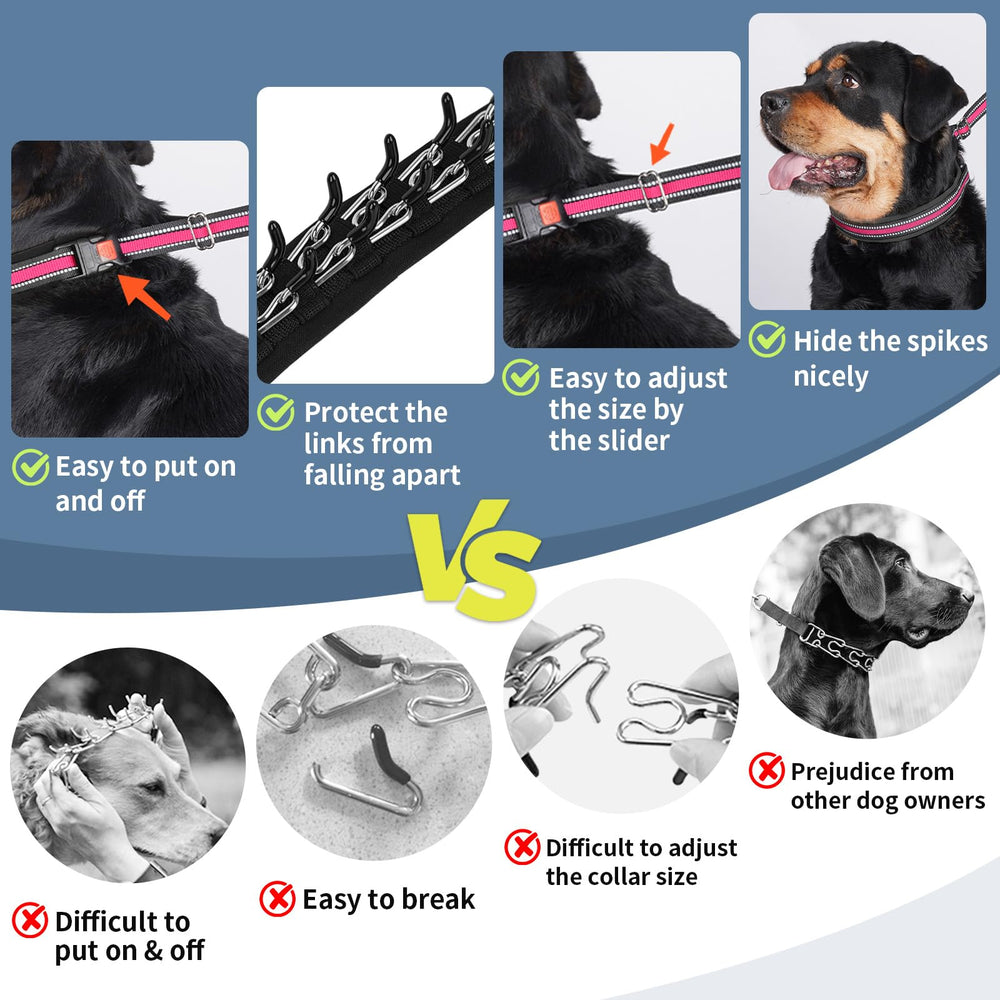 Mayerzon martingale collar D-ring leash attachment provides sturdy leash connection during walks