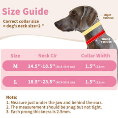 Mayerzon Martingale collar with D-ring for secure leash attachment.