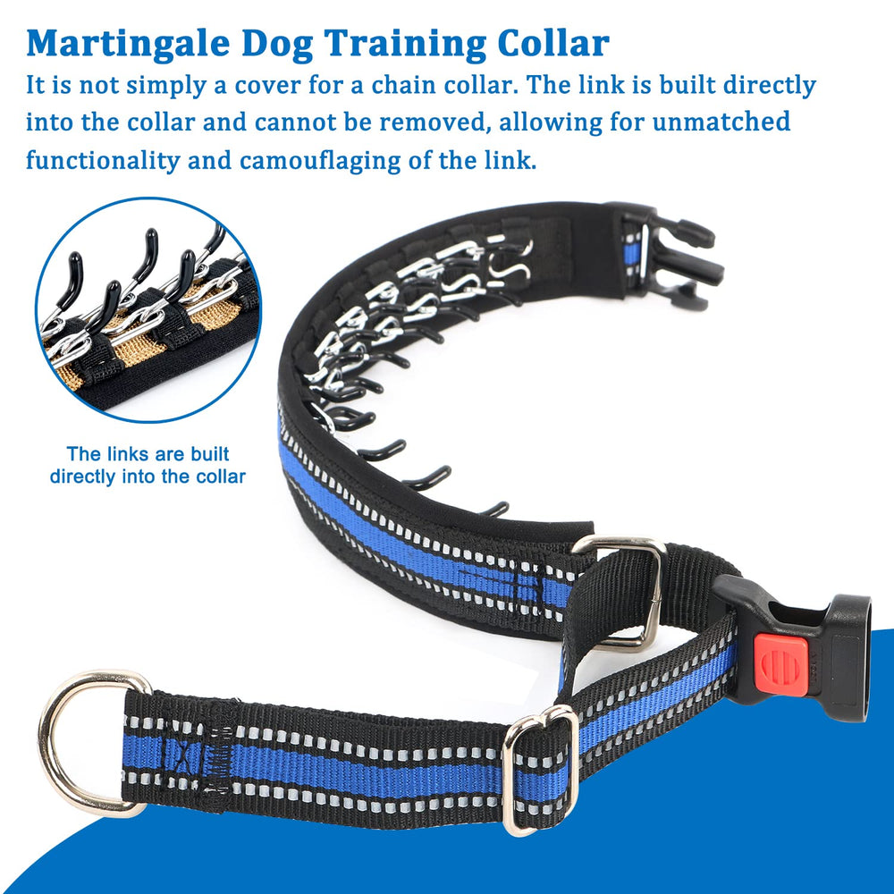 Mayerzon martingale collar blue highlighting soft neoprene padding for comfort