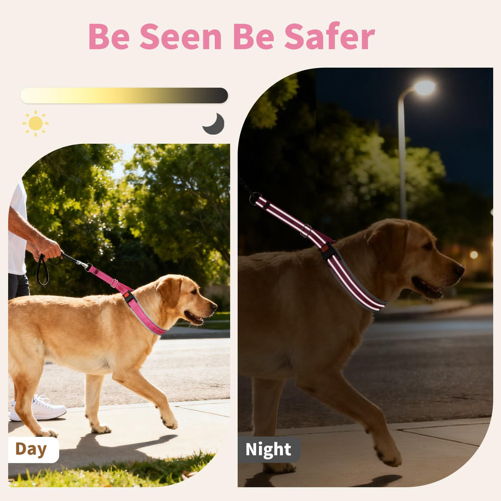 Mayerzon Martingale collar for large dogs during training walks.
