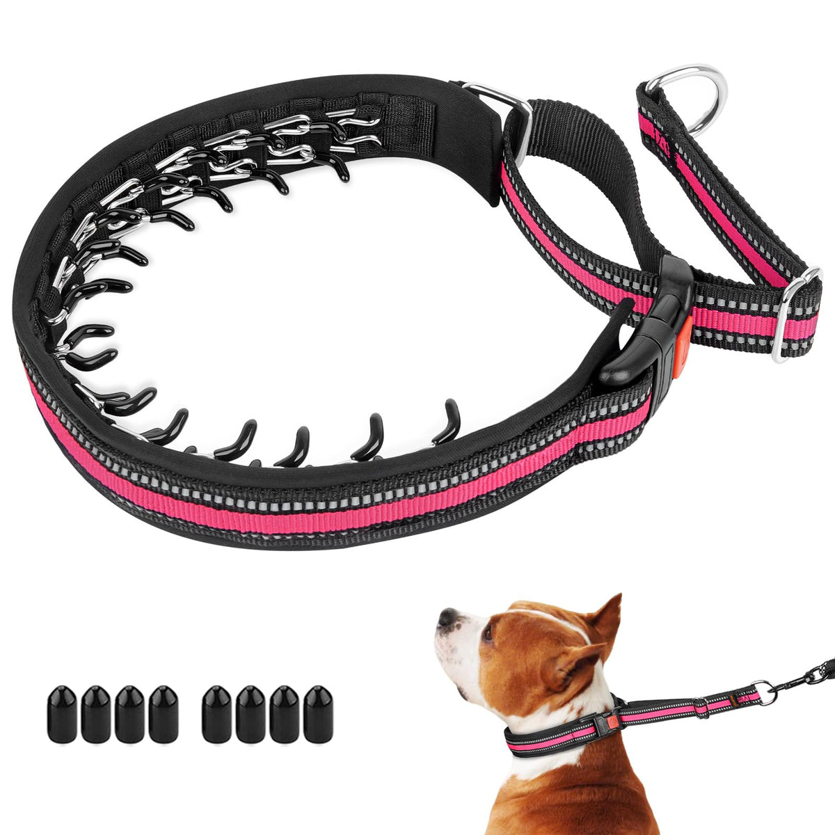 Mayerzon martingale collar front view shows no-pull design for smoother daily walks