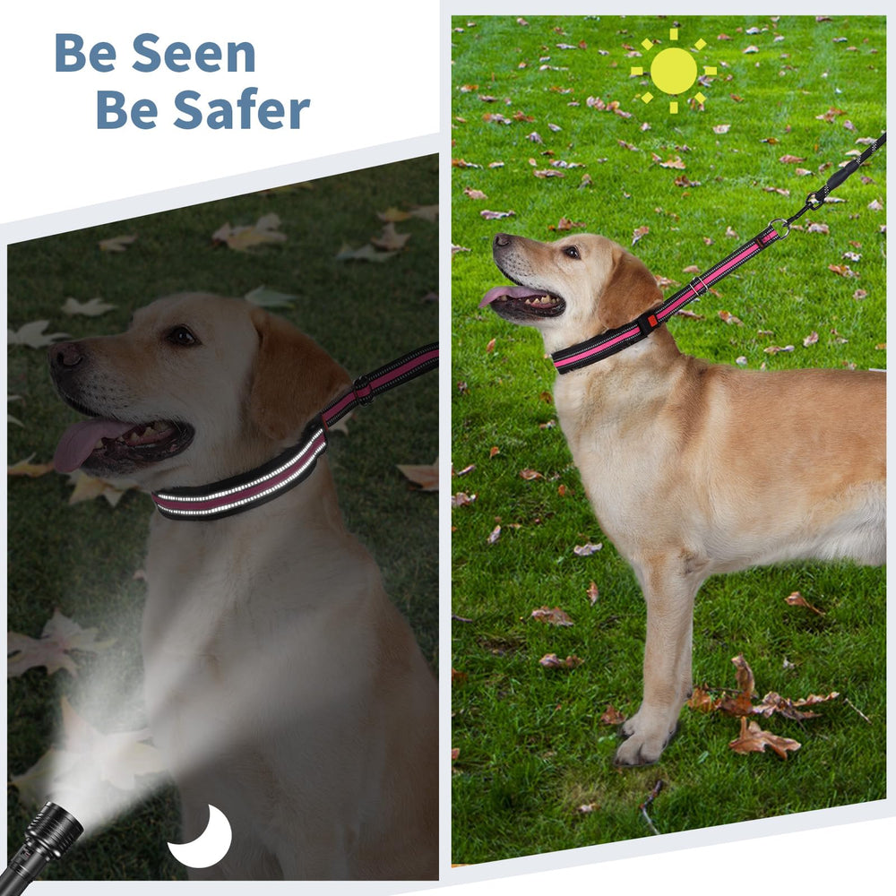 Mayerzon martingale collar neoprene padding adds comfort for long wear