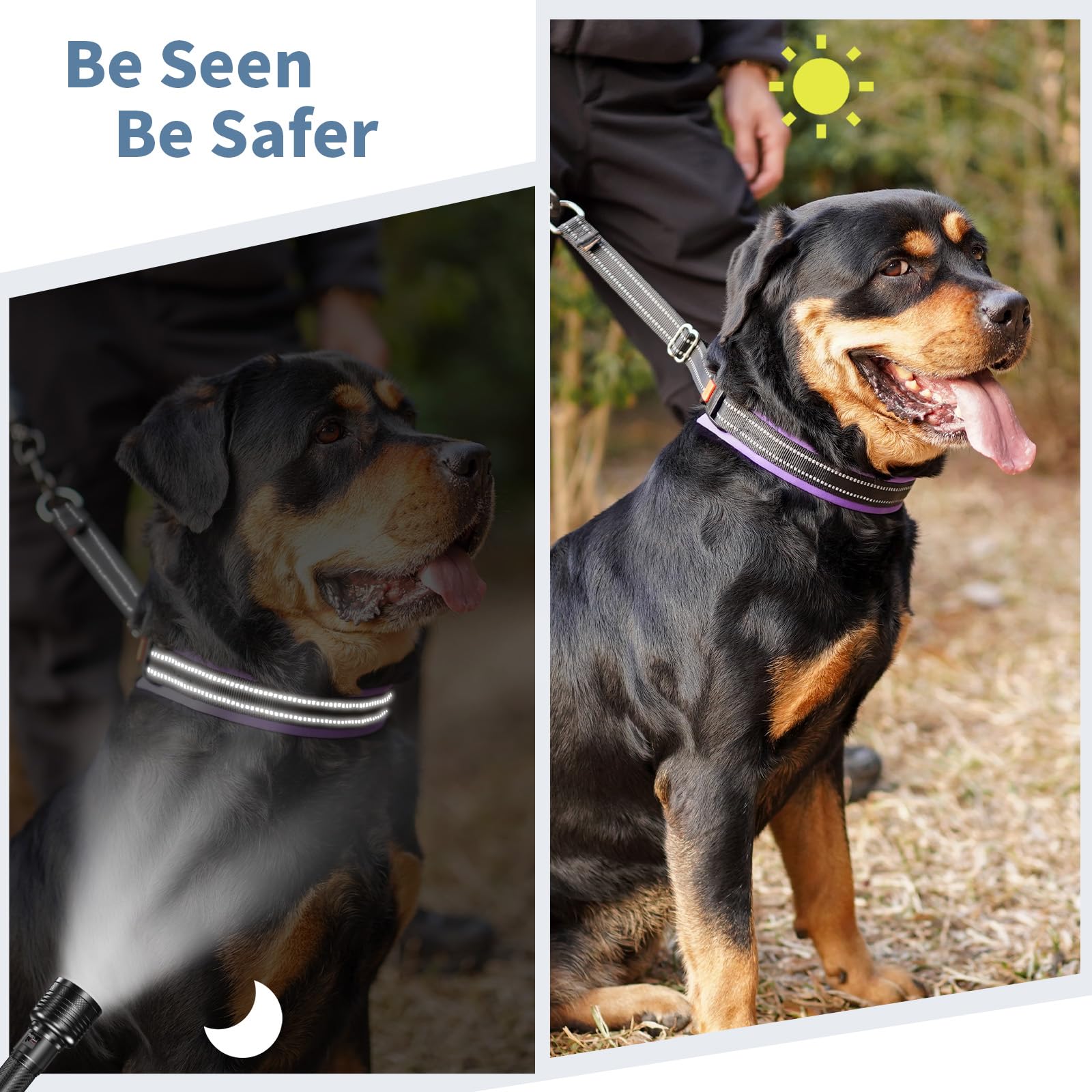 Sturdy buckle on Mayerzon no pull collar for quick on/off during training