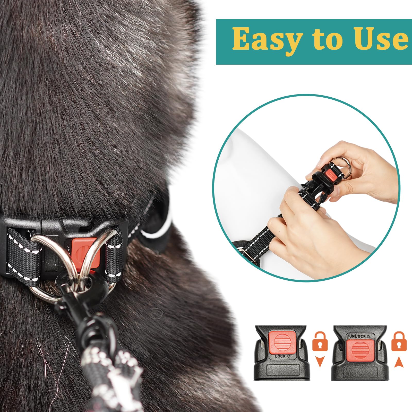 No-pull design supports calm walking beside you on routes.