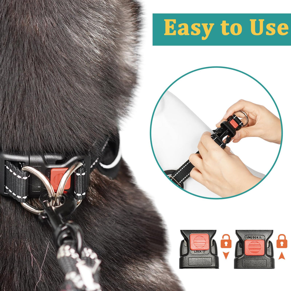 No-pull design supports calm walking beside you on routes.
