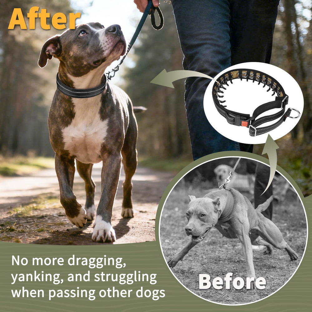 Mayerzon no-pull collar features a heavy-duty D-ring for secure leash attachment.
