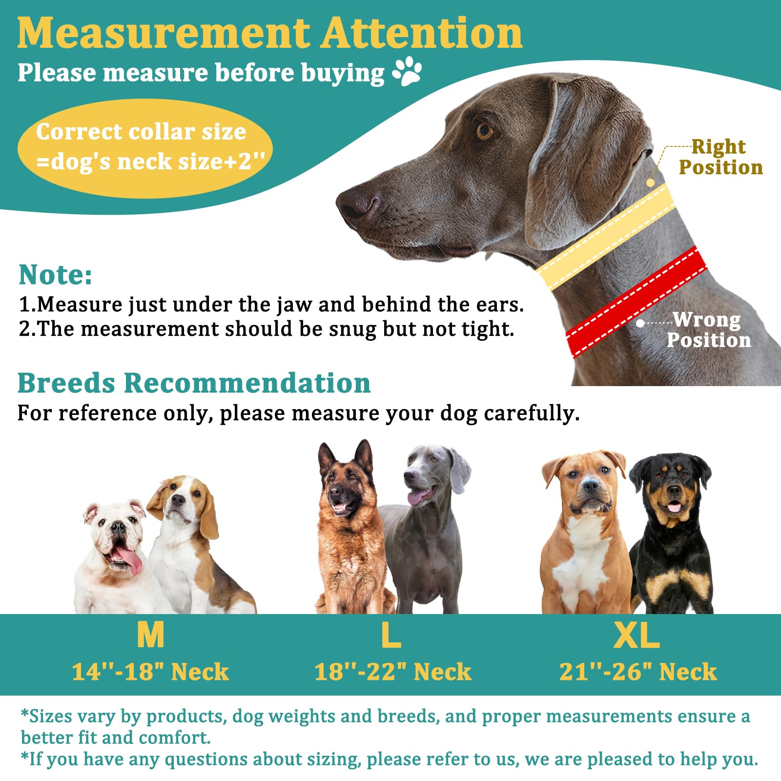 D-ring leash attachment remains sturdy during training sessions.