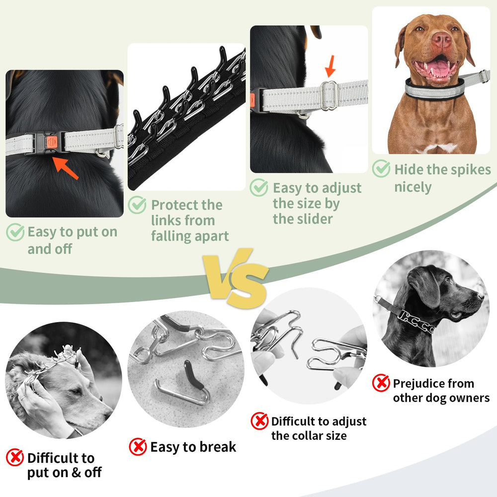 Mayerzon D-ring leash attachment is secure for confident walks with your dog
