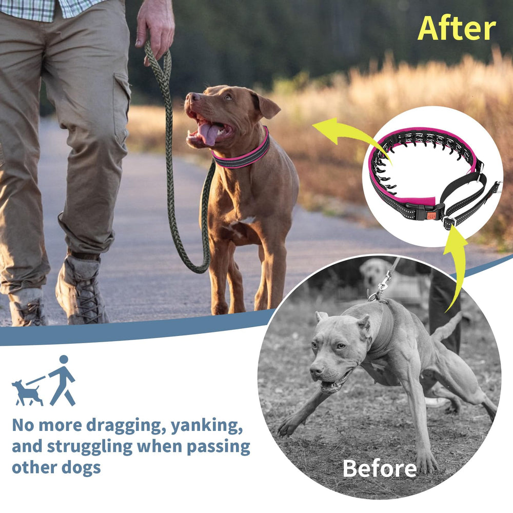 Mayerzon anti-pull collar with D-ring for secure leash connection