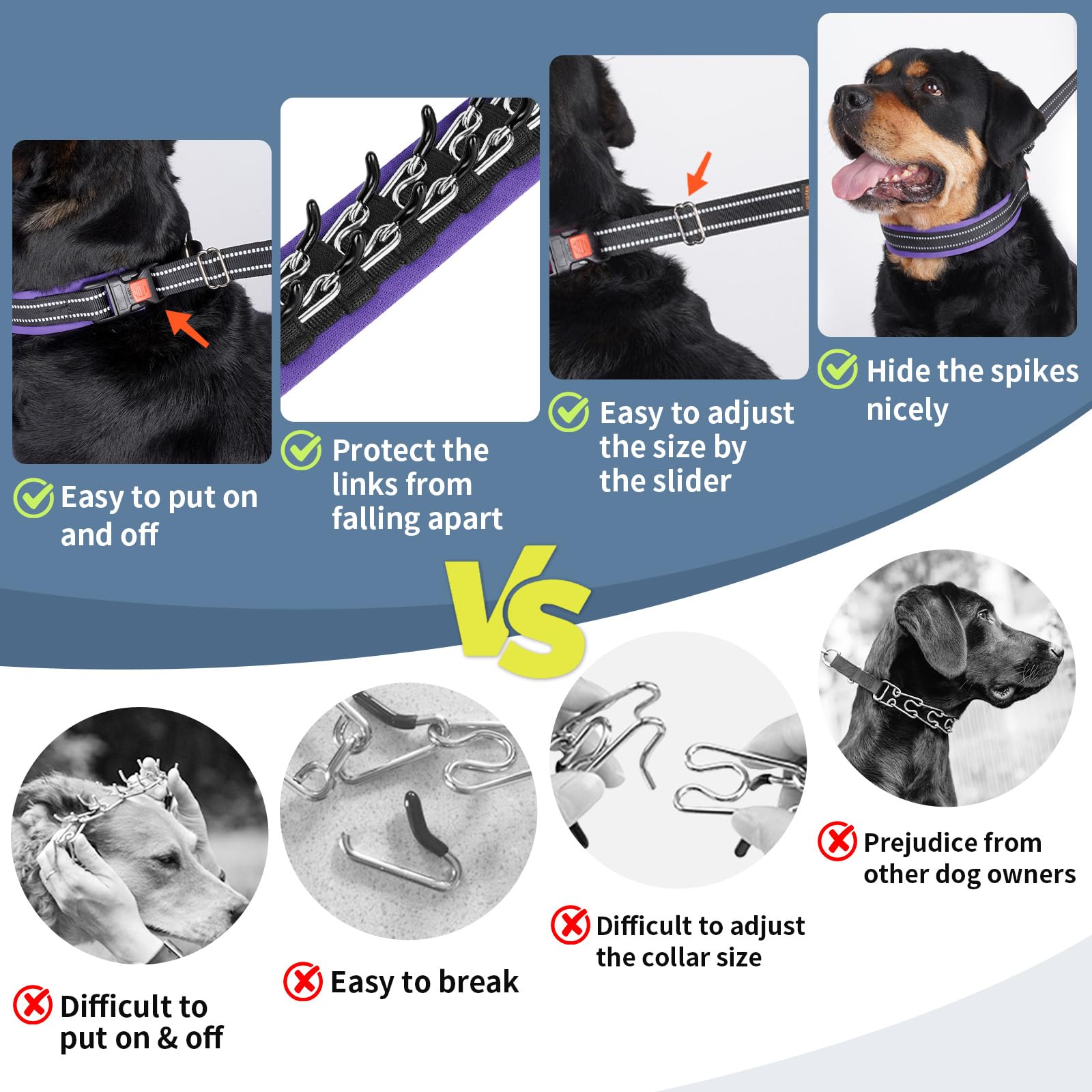 D-ring leash attachment on Mayerzon martingale no pull collar
