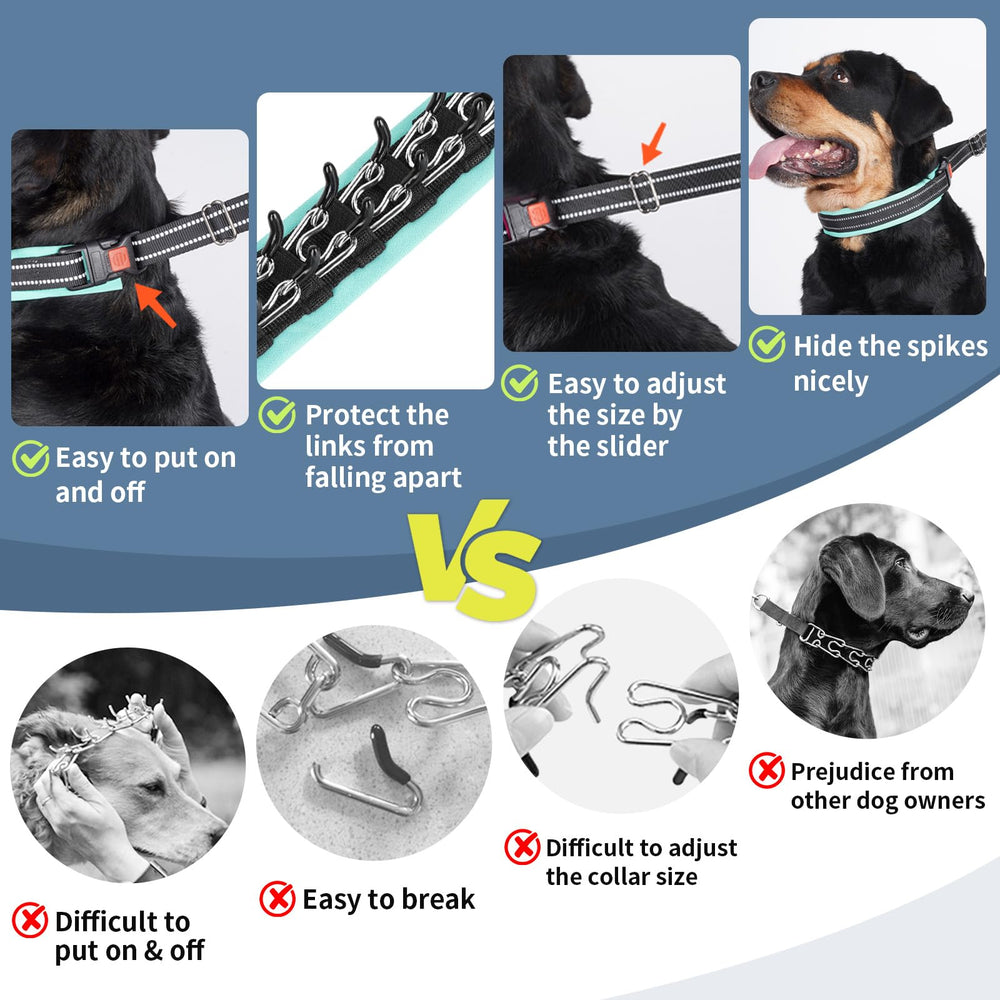 Mayerzon Martingale no pull collar sturdy D-ring for secure leash attachment.