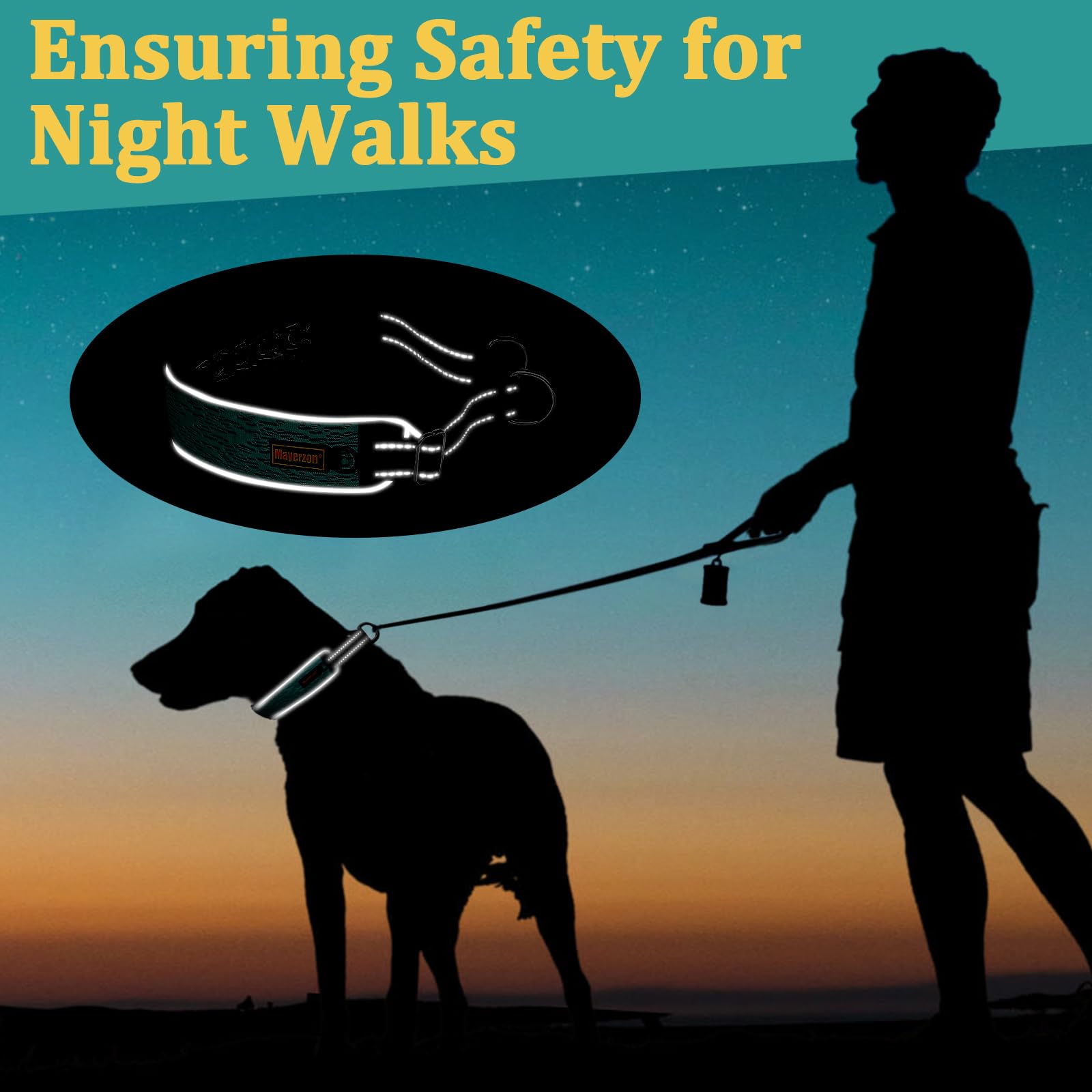 Easy on/off plastic buckle simplifies putting the collar on.