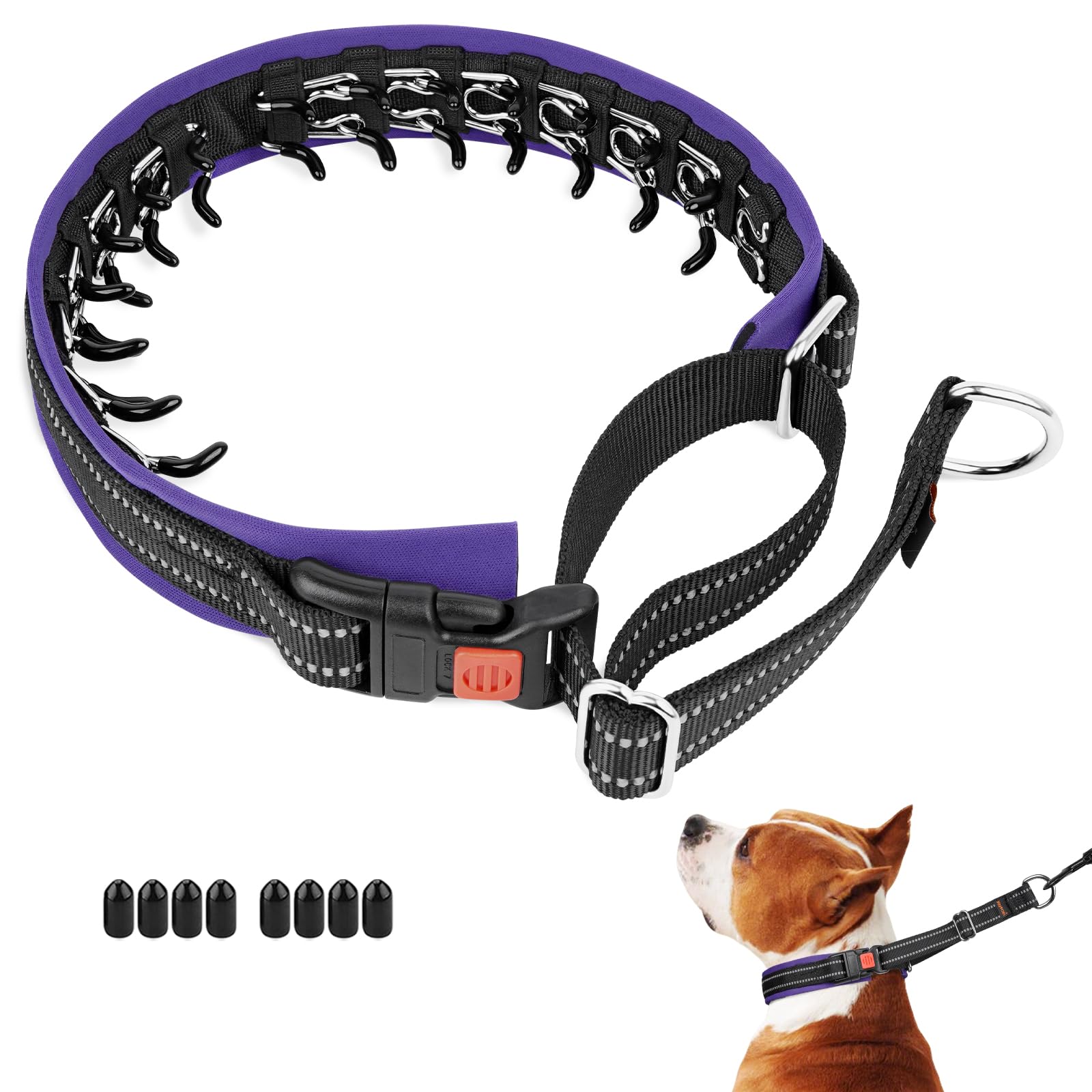 Mayerzon martingale no pull collar front view showing discreet design for daily walks