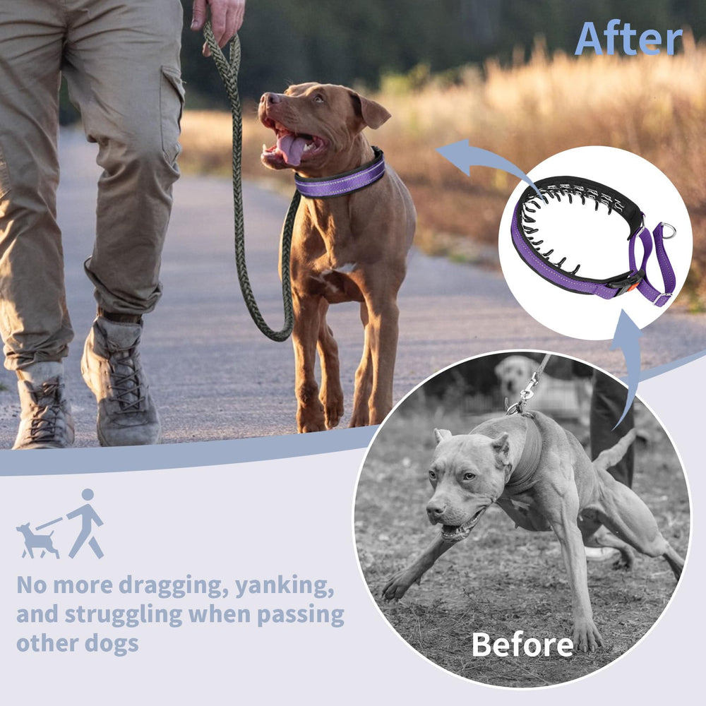 Mayerzon Martingale collar size guidance helps fit medium to large dogs accurately.