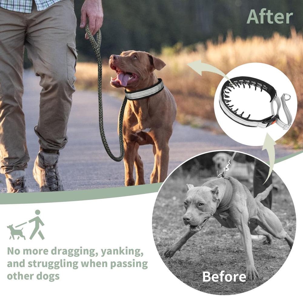 Mayerzon collar on a large breed dog during an outdoor walk for training practice