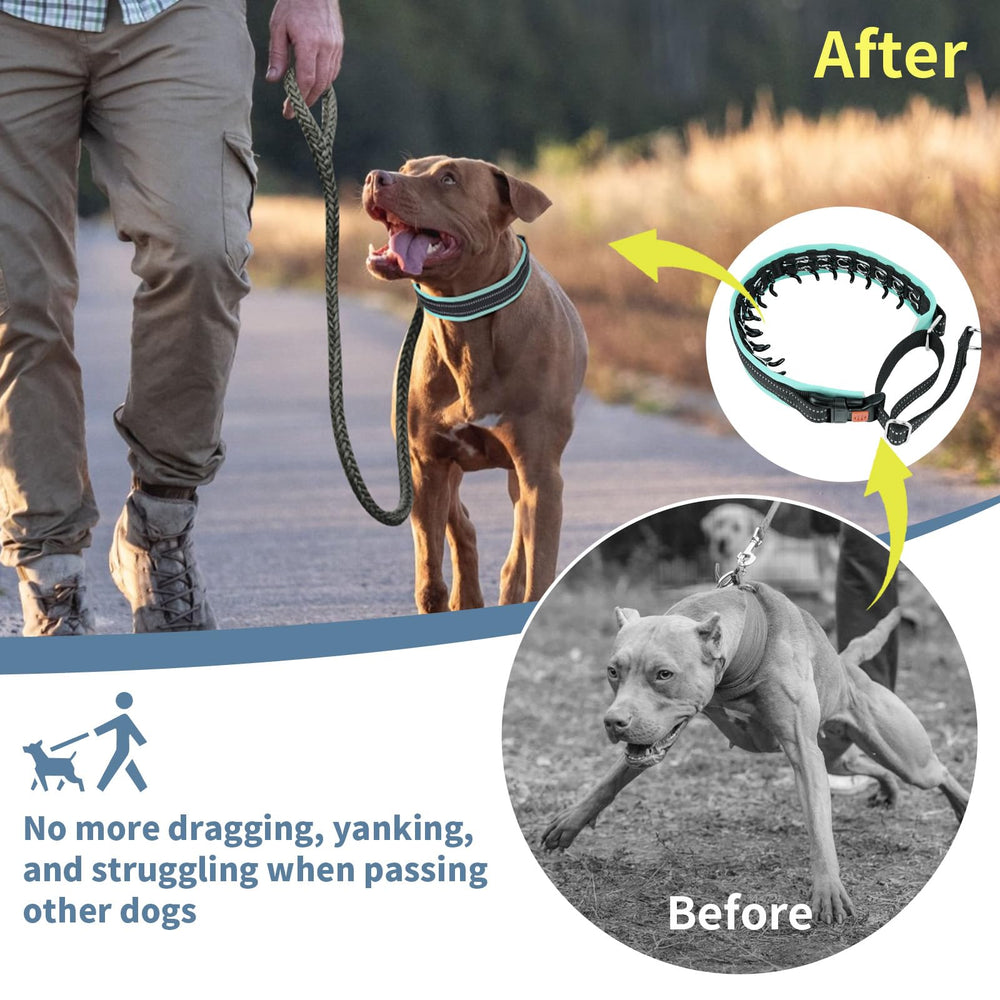 Mayerzon measurement guide helps find your correct collar size.
