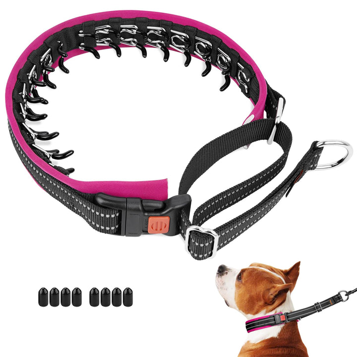 Mayerzon Martingale no-pull collar with neoprene padding for comfortable daily walks
