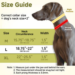 Mayerzon no-pull collar with neoprene padding provides comfortable contact during training.