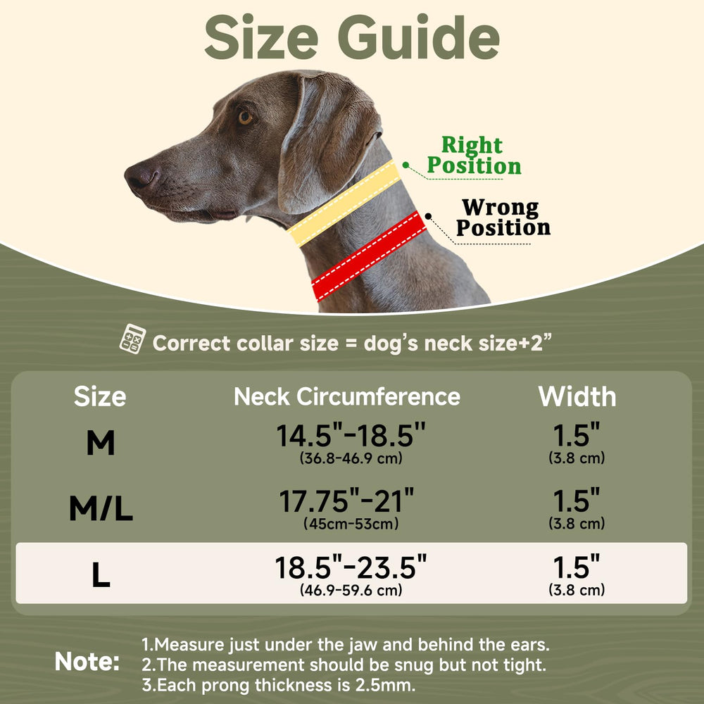 Mayerzon No Pull Collar neoprene padding provides comfortable walks.