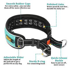 Mayerzon collar at night shows reflective threads for safer walks.