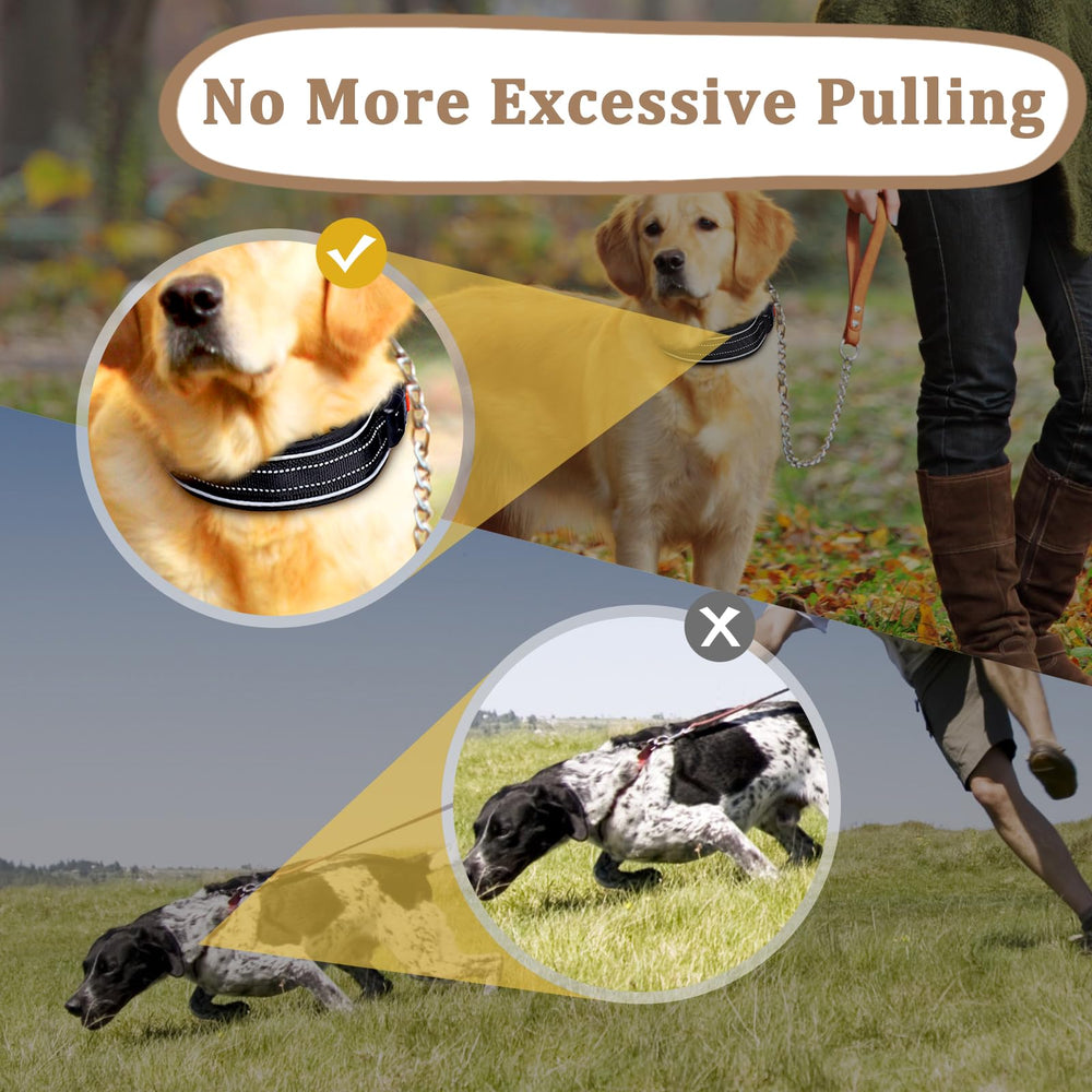 Mayerzon Martingale on dog during night walk showing safety and gentle correction.