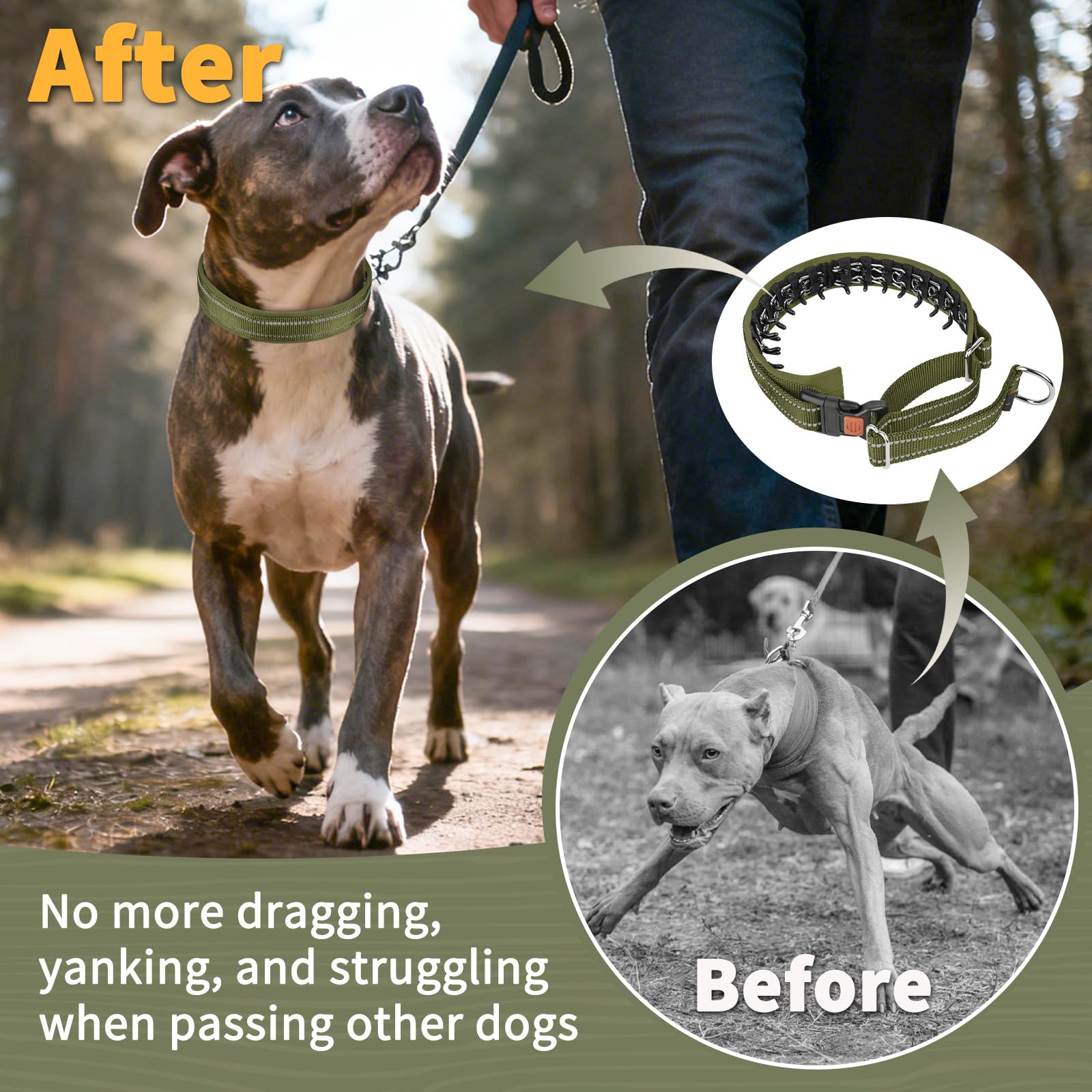 Mayerzon No Pull Collar on dog during training session.