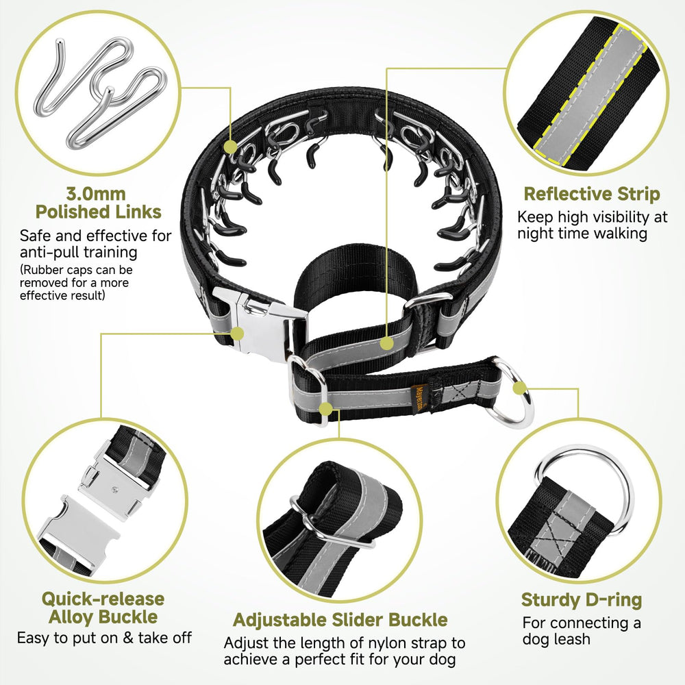 Mayerzon collar on a dog during a walk demonstrates discreet, durable design.