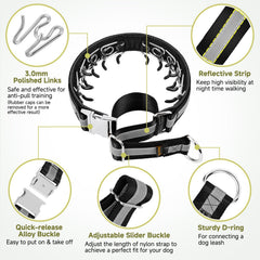 Mayerzon collar on a dog during a walk demonstrates discreet, durable design.