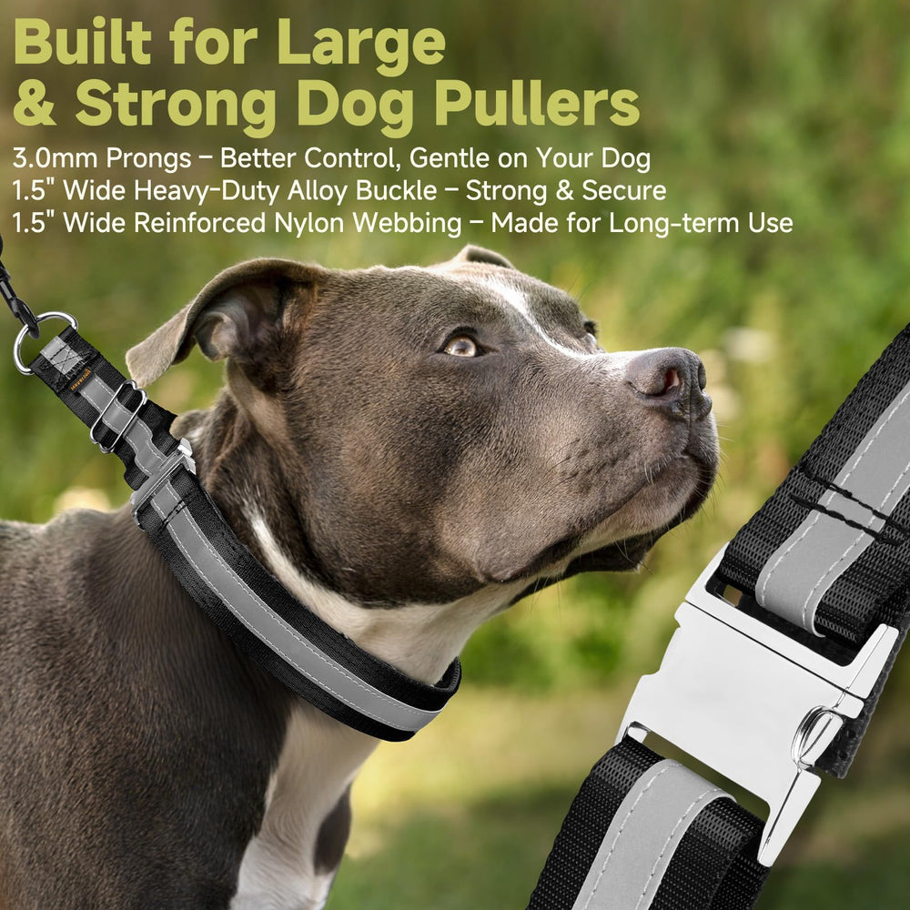 Mayerzon one-and-half-inch buckle enables quick on/off for busy mornings.