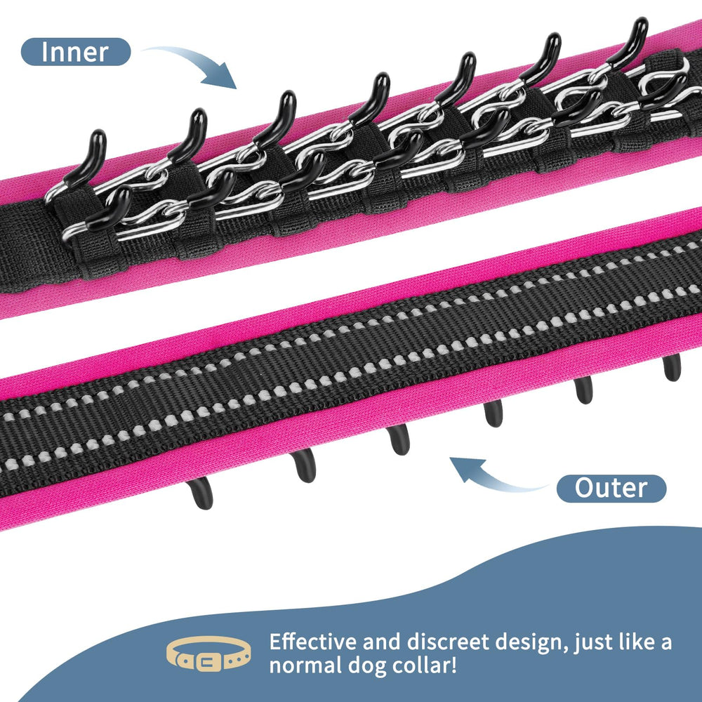 Mayerzon Martingale collar with reflective stitching improves night visibility during evening strolls