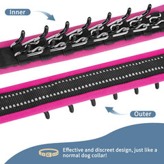 Mayerzon Martingale collar with reflective stitching improves night visibility during evening strolls