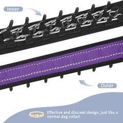 Mayerzon Martingale collar with reflective stitching for safer nighttime walks.