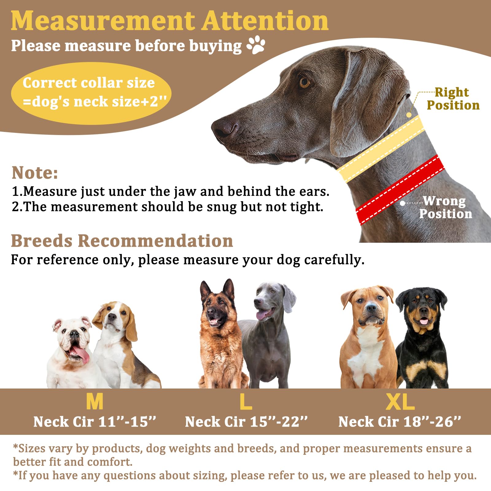 Mayerzon Martingale reflective striping boosts visibility for night walks.