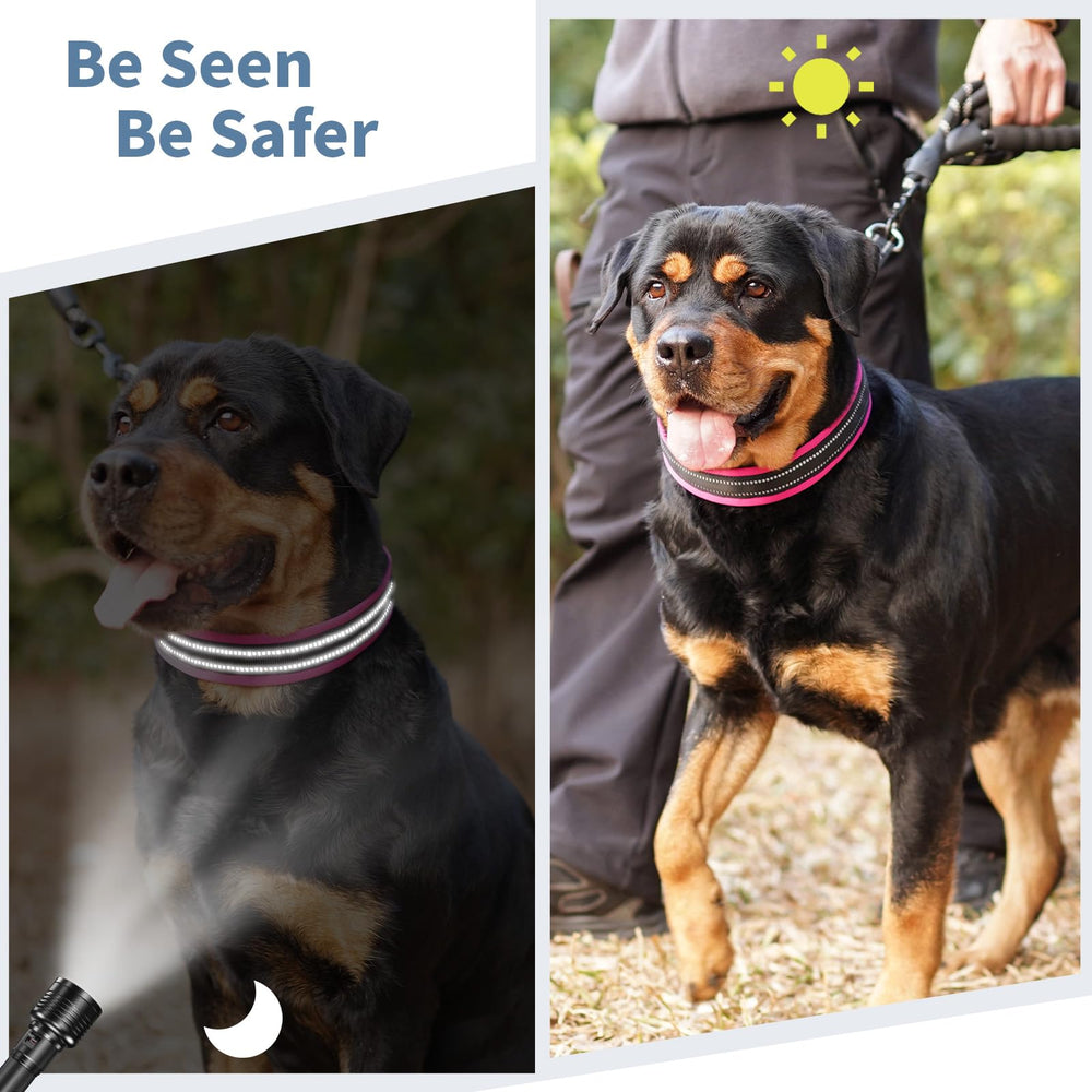 Mayerzon safety buckle ensures easy on-off and reliable leash attachment