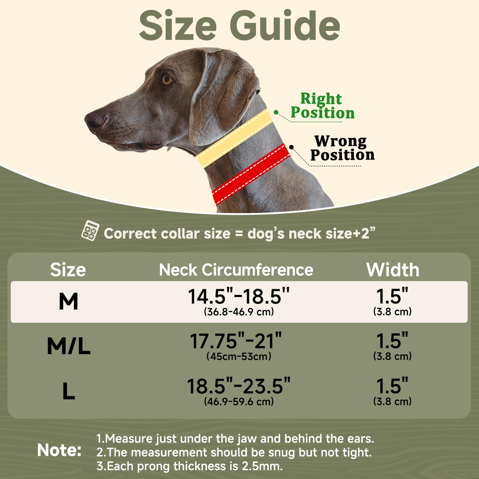 Mayerzon no-pull collar on a medium-large dog demonstrates easy-fit slider buckle.