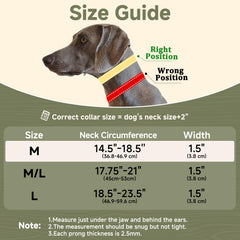 Mayerzon no-pull collar on a medium-large dog demonstrates easy-fit slider buckle.