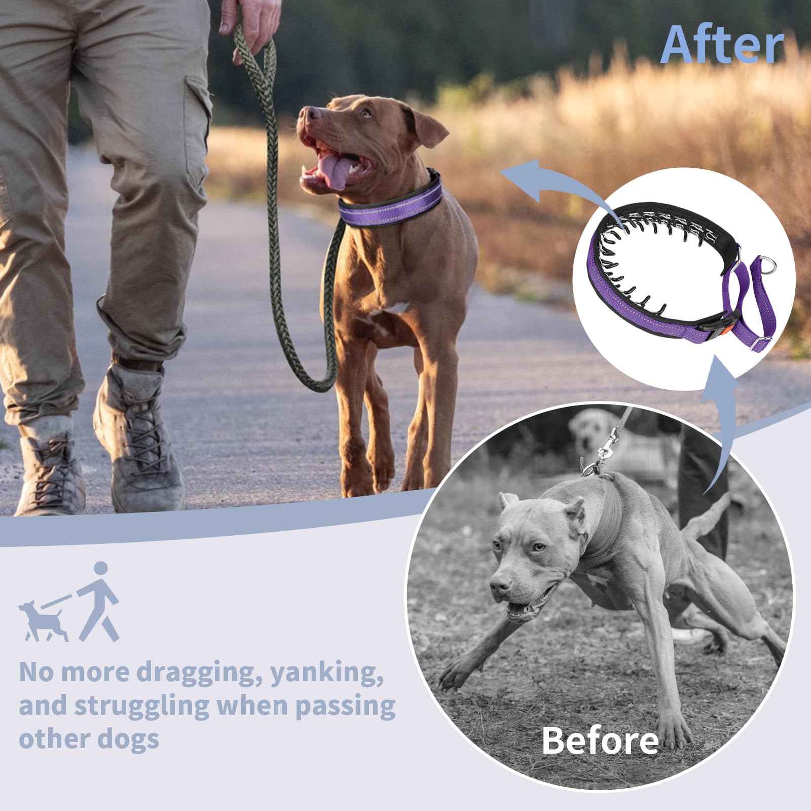 Mayerzon wearing guide shows collar placement for a secure fit.