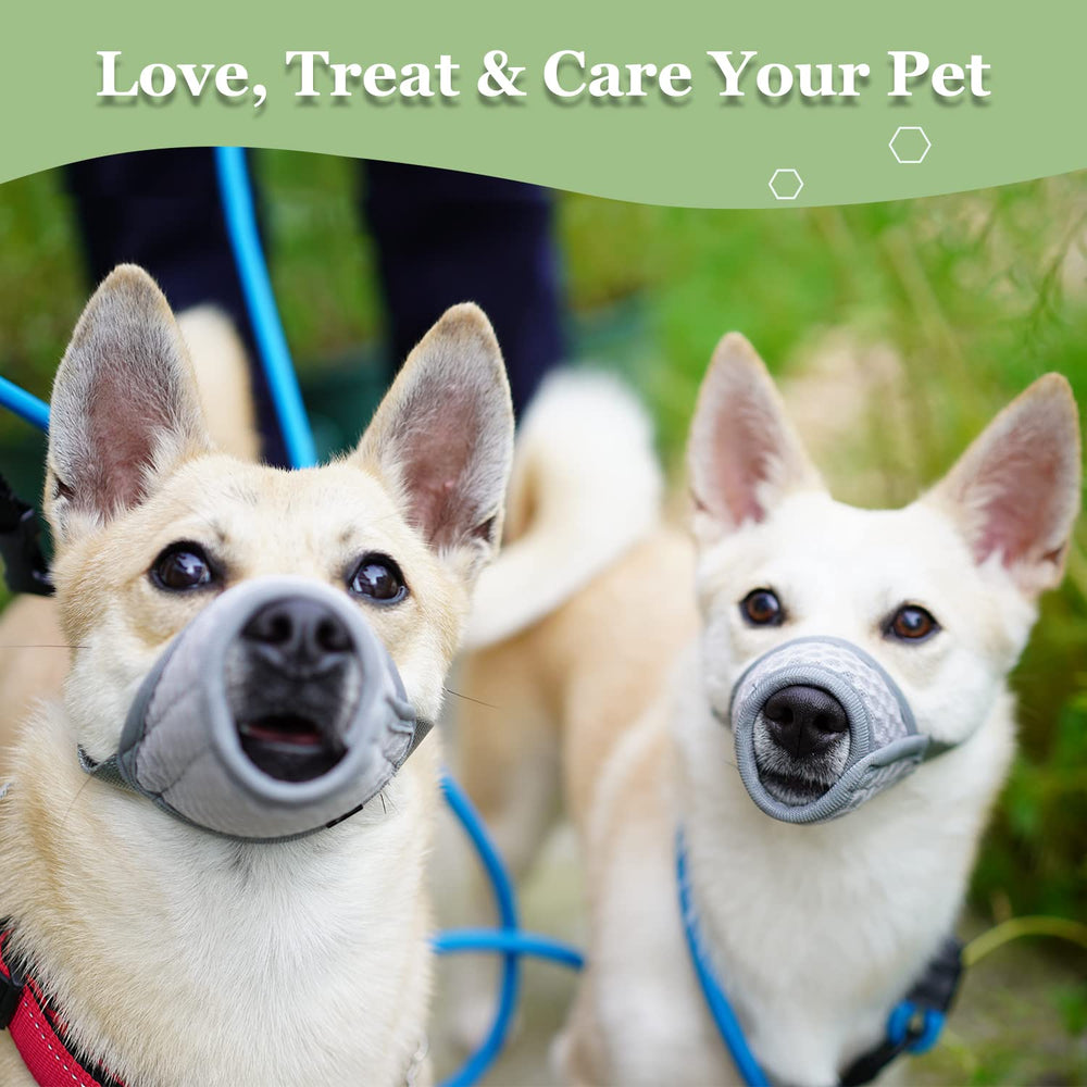 Mayerzon muzzle suitable for training and vet visits.