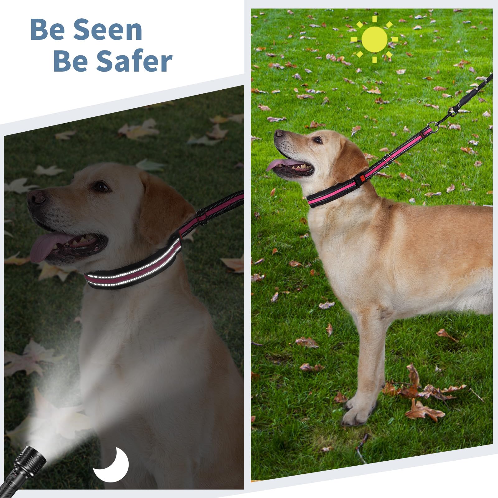 Mayerzon no-pull collar used during walking training sessions.