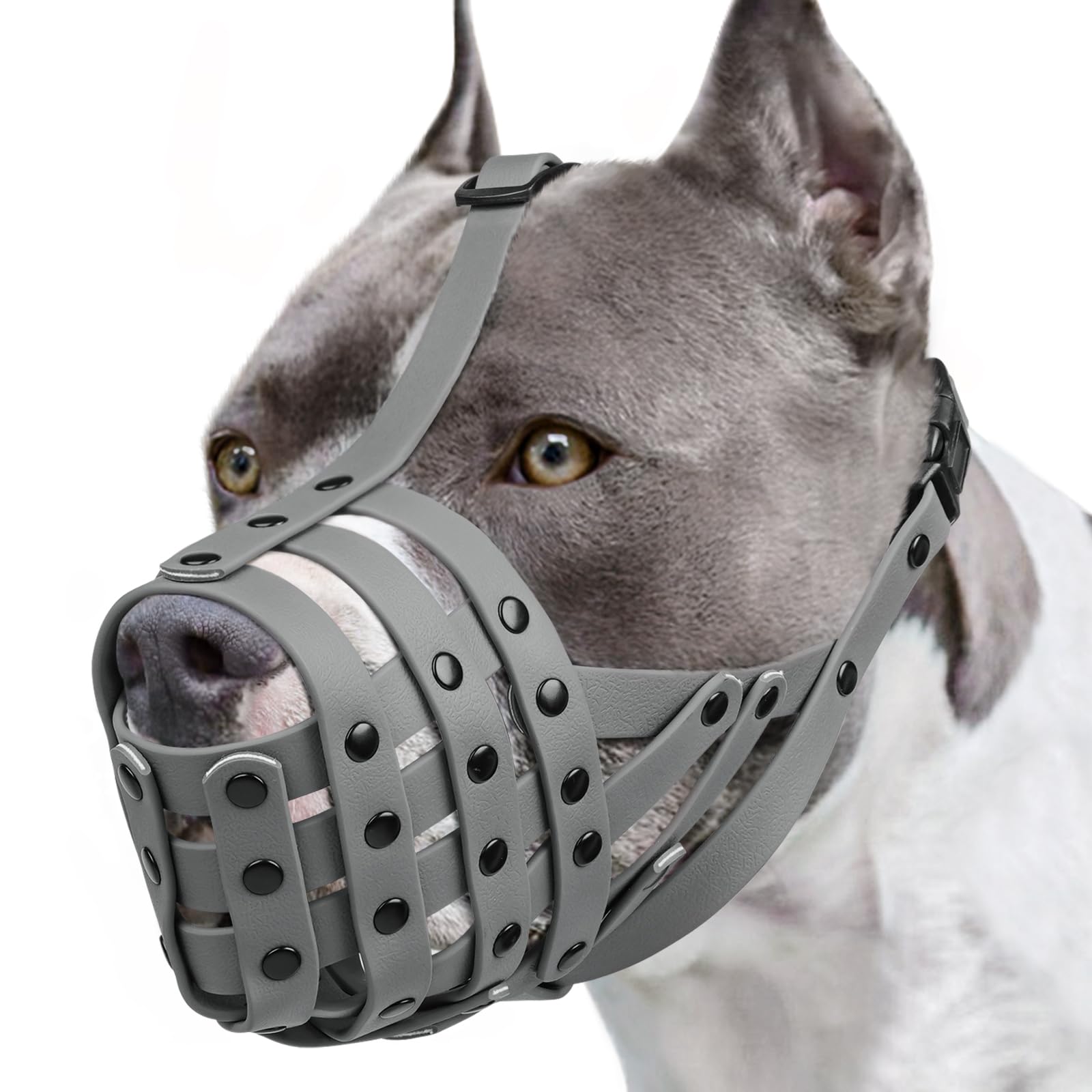 Mayerzon Pitbull Muzzle basket on a dog for safe social interaction