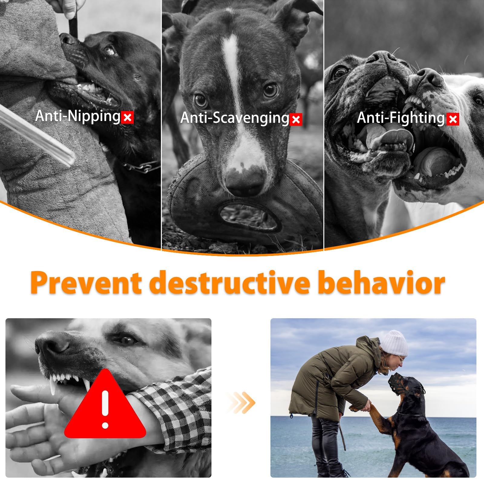 Mayerzon Pitbull Muzzle enables drinking during walks and grooming.