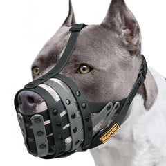 Mayerzon Pitbull Muzzle front view showing basket design for safe outdoor outings