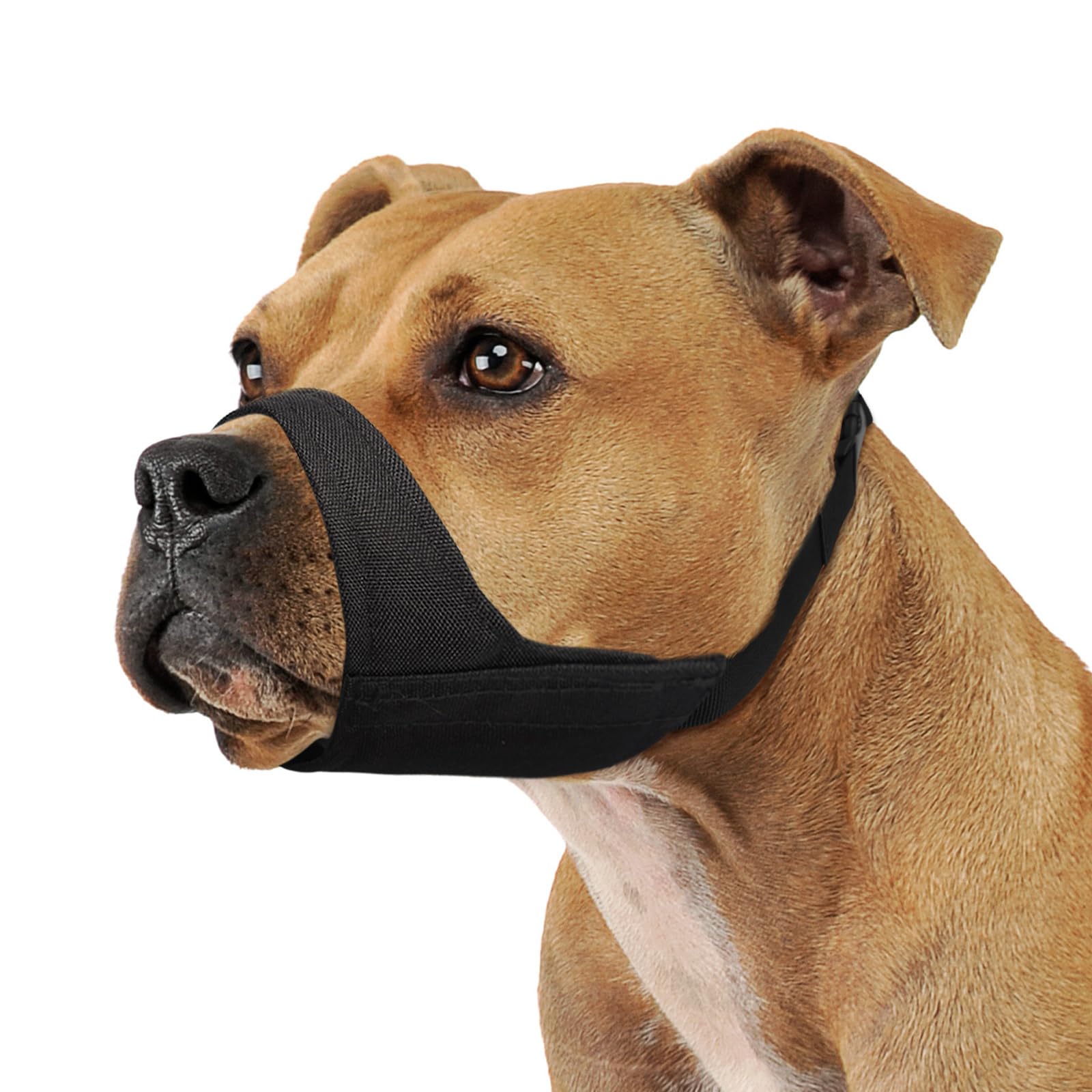 Mayerzon Pitbull Muzzle front view demonstrates secure fit for large dogs
