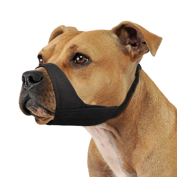 Mayerzon Pitbull Muzzle front view demonstrates secure fit for large dogs