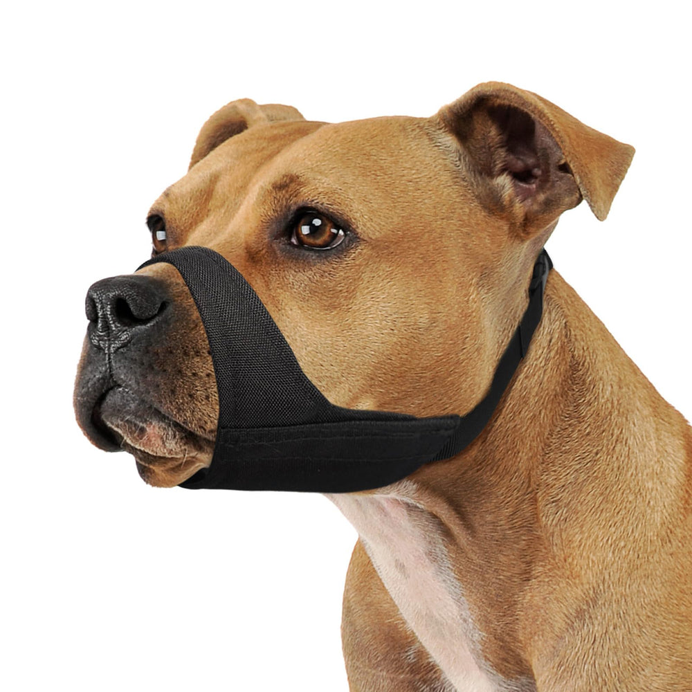Mayerzon Pitbull Muzzle front view demonstrates secure fit for large dogs