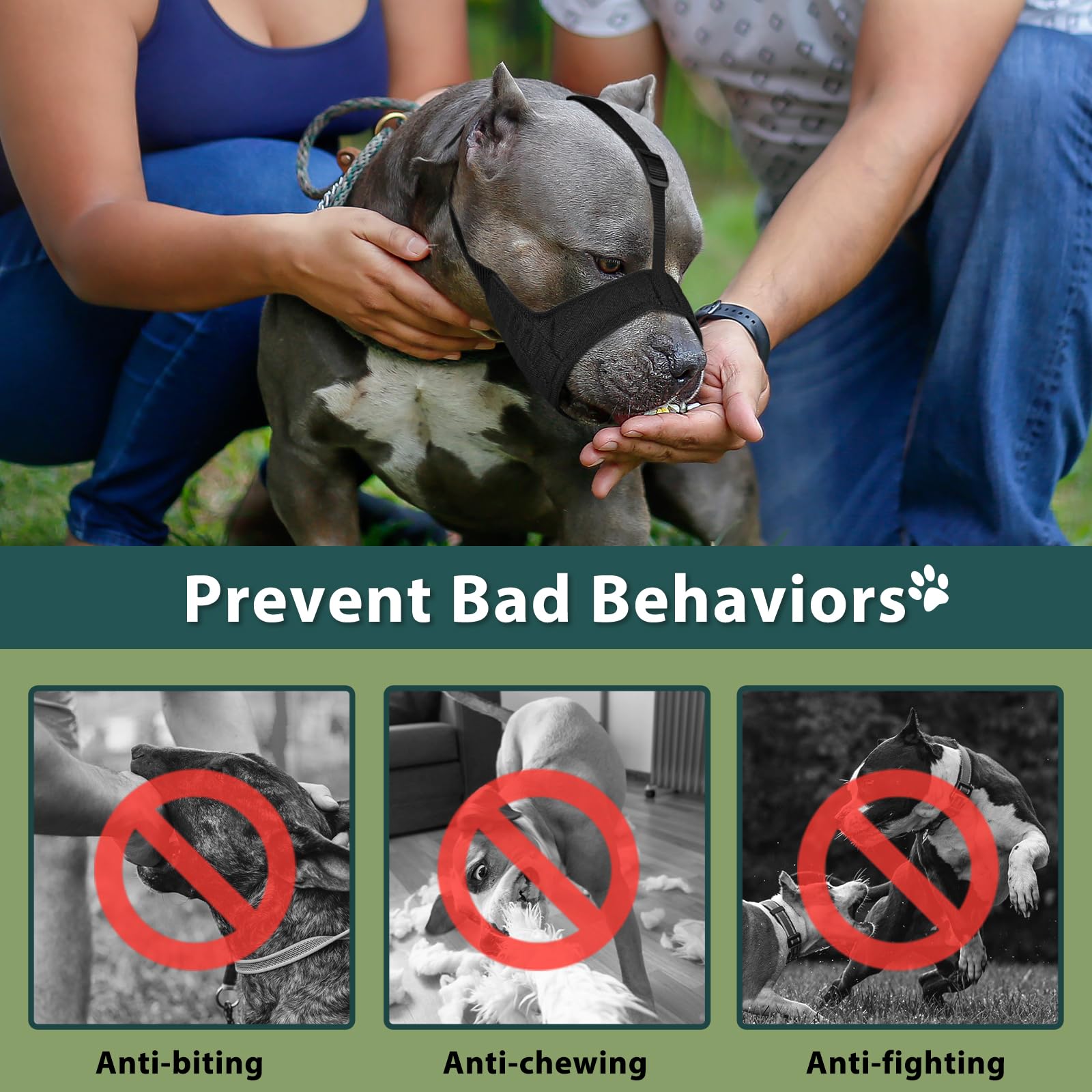 Mayerzon Pitbull Muzzle worn during outdoor walks to illustrate use.