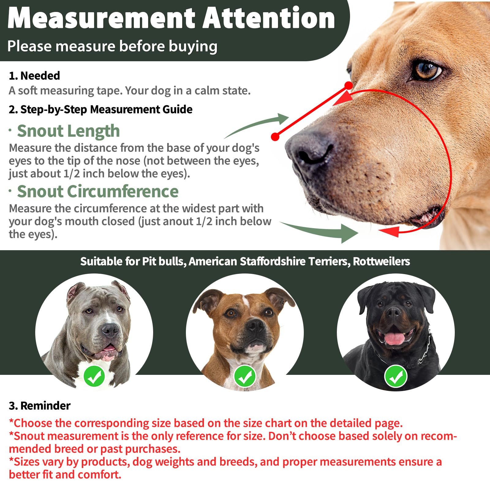 Mayerzon muzzle with overhead and neck straps for adjustable support