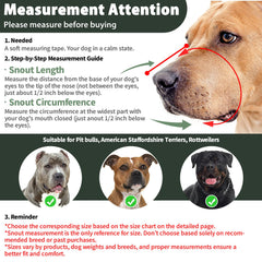Mayerzon muzzle with overhead and neck straps for adjustable support